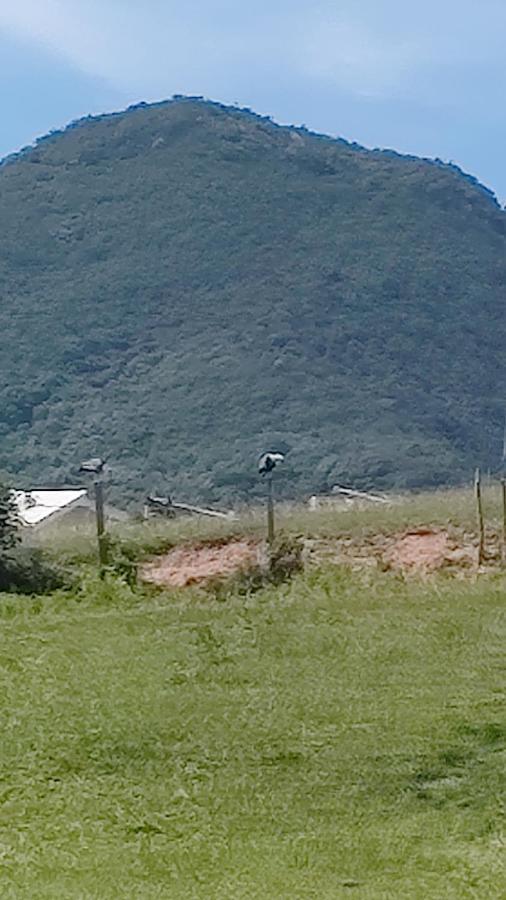 Residencial Marinho